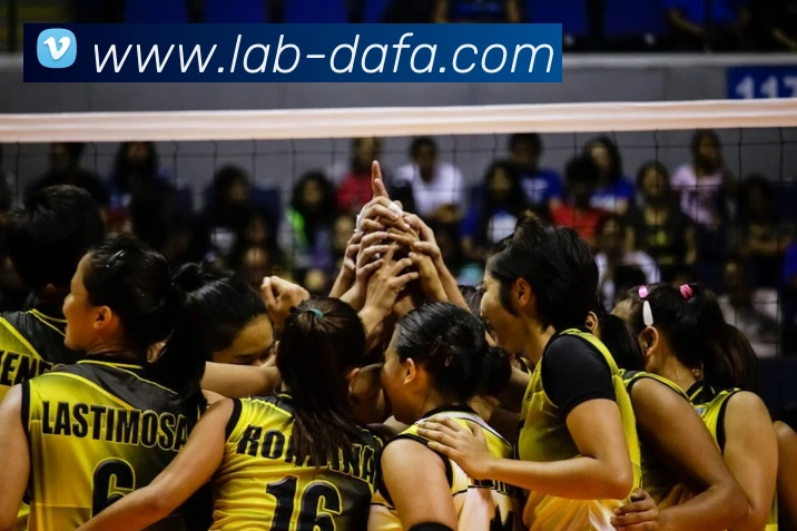 大发彩票服务体系